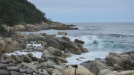 동해바다 - 뽐뿌:자유갤러리 동해바다