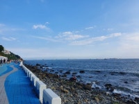 부산! - 뽐뿌:자유갤러리 부산!