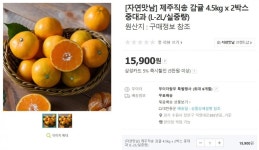 [GS SHOP] 제주직송 감귤 4.5kg x 2박스 중대과 (15,110/무료) - 뽐뿌:뽐뿌게시판 [GS SHOP] 제주직송 감귤 4.5kg x 2박스 중대과 (15,110... 