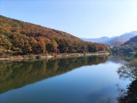 오남저수지 - 뽐뿌:자유갤러리 오남저수지