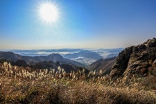 월출산 산악회 버스산행 - 뽐뿌:등산포럼 월출산 산악회 버스산행
