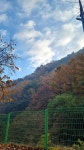 산청지막계곡캠핑장 feat.타프쉘과 남자 3명은 피하자 - 뽐뿌:캠핑포럼 산청지막계곡캠핑장 feat.타프쉘과 남자 3명은 피하자