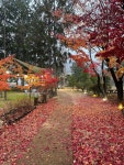 광교산ㅎㅎ - 뽐뿌:자유갤러리 광교산ㅎㅎ