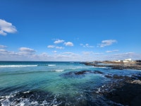 세화입니다 - 뽐뿌:자유게시판 세화입니다