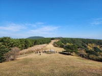 어제 산굼부리 - 뽐뿌:자유게시판 어제 산굼부리