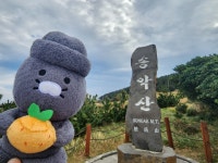 송악산 왔습니다 - 뽐뿌:자유게시판 송악산 왔습니다