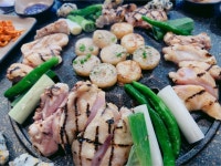 새로오픈한 곳 - 뽐뿌:자유갤러리 새로오픈한 곳