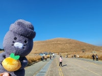 오늘 새별오름입니다 - 뽐뿌:자유게시판 오늘 새별오름입니다