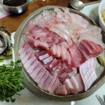 장모님 생신상(회 한상 차림) - 뽐뿌:자유게시판 장모님 생신상(회 한상 차림)