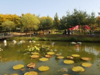 오산 맑음터공원 - 뽐뿌:자유갤러리 오산 맑음터공원