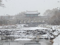 오늘의 수원 - 뽐뿌:자유게시판 오늘의 수원
