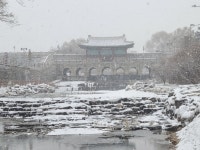 오늘의 수원 - 뽐뿌:자유게시판 오늘의 수원