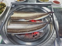전일 저녁은 바다장어구이 - 뽐뿌:자유갤러리 전일 저녁은 바다장어구이