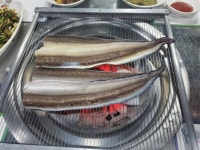 전일 저녁은 바다장어구이 - 뽐뿌:자유갤러리 전일 저녁은 바다장어구이