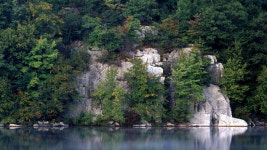 fahnestockfoliage - 뽐뿌:바탕화면갤러리 fahnestockfoliage