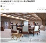 도그 포르노 - 뽐뿌:정치자유게시판 도그 포르노