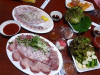 방어 모듬회 - 뽐뿌:자유갤러리 방어 모듬회