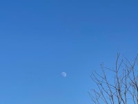 낮에도 달이 뜨는군요 - 뽐뿌:자유게시판 낮에도 달이 뜨는군요