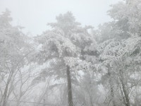 어제의 태기산 상황 - 뽐뿌:등산포럼 어제의 태기산 상황