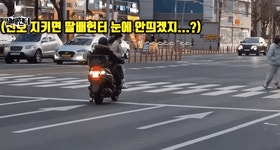 창원이 낳은 최고의 아웃풋 - 뽐뿌:자유게시판 창원이 낳은 최고의 아웃풋