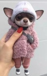 오늘 휴가 쓴 분들 많죠? - 뽐뿌:자유게시판 오늘 휴가 쓴 분들 많죠?