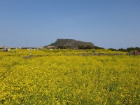 광치기해변입니다 - 뽐뿌:자유게시판 광치기해변입니다