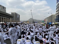태권도 한마음 대축제 현장 - 뽐뿌:자유게시판 태권도 한마음 대축제 현장