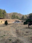 부산 카페 만디 - 뽐뿌:자유갤러리 부산 카페 만디