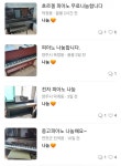당근으로 인해 리코더보다 입문하기 좋은 악기 - 뽐뿌:자유게시판 당근으로 인해 리코더보다 입문하기 좋은 악기