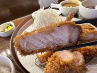 돈카츠 - 뽐뿌:자유갤러리 돈카츠
