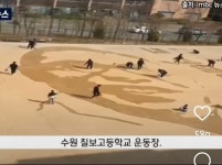 정말 멋진 학생들, 수원 칠보고등학교 2학년 9반!! - 뽐뿌:유머/감동 정말 멋진 학생들, 수원 칠보고등학교 2학년 9반!!