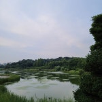 올림픽 공원 - 뽐뿌:자유갤러리 올림픽 공원