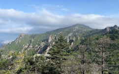 지난 주 토요일 (23.05.20) 서북능선 (한계령~장수대) 다녀왔습니다. (사진 14장) - 뽐뿌:등산포럼 지난 주 토요일 (23.05.20) 서북능선 (한계령... 