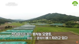 천일염이 또 올랐네요 - 뽐뿌:자유게시판 천일염이 또 올랐네요