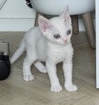 막둥이 델구 왔습니다. - 뽐뿌:캠핑포럼 막둥이 델구 왔습니다.