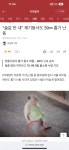 칼부림 사고 계속 나네요 - 뽐뿌:자유게시판 칼부림 사고 계속 나네요