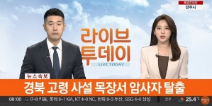 [속보] 경북 고령군 사설 목장에서 암사자 탈출 - 뽐뿌:자유게시판 [속보] 경북 고령군 사설 목장에서 암사자 탈출