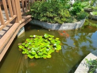 전남 창평가서 보리밥 먹고 왔어요 - 뽐뿌:자유갤러리 전남 창평가서 보리밥 먹고 왔어요