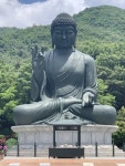 천안 - 뽐뿌:자유갤러리 천안