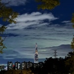 야간산책 - 뽐뿌:자유갤러리 야간산책
