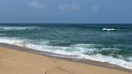 안목해변에서 - 뽐뿌:자유갤러리 안목해변에서