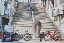 오늘자 부산 풀코스 - 뽐뿌:자유게시판 오늘자 부산 풀코스