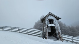 대관령 양떼목장 왔어요 (사진많음) - 뽐뿌:자유게시판 대관령 양떼목장 왔어요 (사진많음)