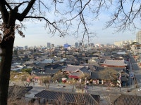 전주 오목대 근처에서 본 한옥마을 - 뽐뿌:자유갤러리 전주 오목대 근처에서 본 한옥마을