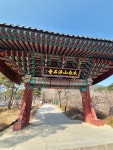 영주부석사에 왔는데 영주엔 사과많이파네요 - 뽐뿌:자유게시판 영주부석사에 왔는데 영주엔 사과많이파네요