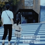 부산의 횡단보도 - 뽐뿌:유머/감동 부산의 횡단보도