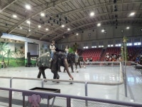 제주도 점보빌리지 - 뽐뿌:자유갤러리 제주도 점보빌리지