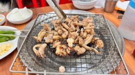 자갈치 꼼장어 .. - 뽐뿌:자유갤러리 자갈치 꼼장어 ..