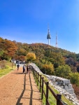 남산 다녀왔습니다. 단풍 현황 - 뽐뿌:자유게시판 남산 다녀왔습니다. 단풍 현황