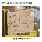 댕댕이 물 준다는 동네 커피숍 - 뽐뿌:유머/감동 댕댕이 물 준다는 동네 커피숍